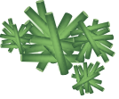 Amyloid plaques